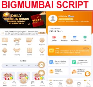 free bigmumbai script